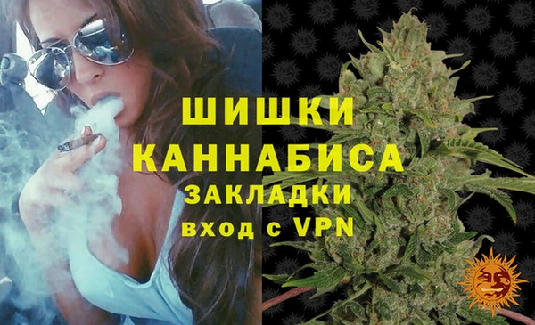 молекула духа Бронницы