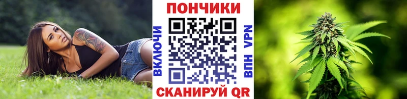 kraken ССЫЛКА Алзамай Бошки марихуана индика